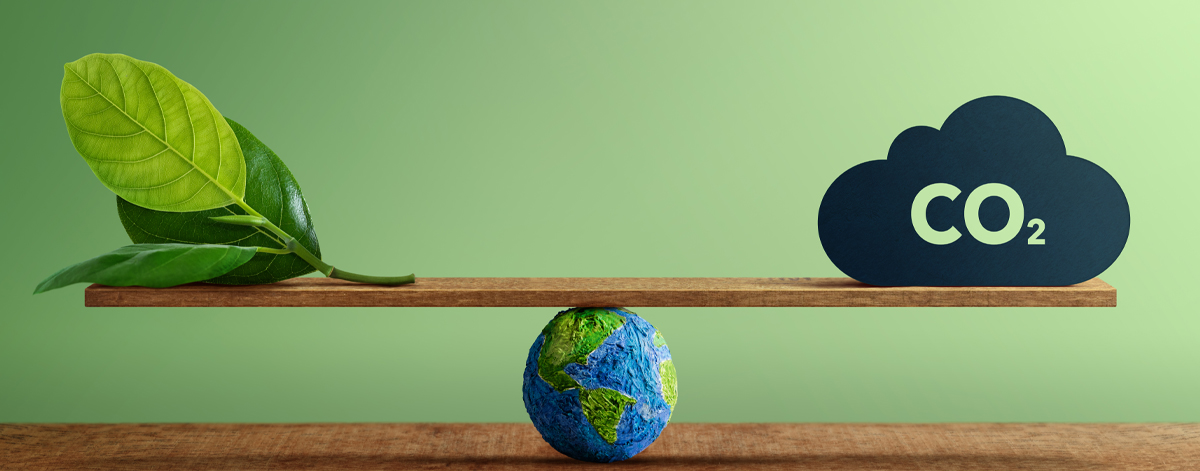 Carbon footprint standard Inter Cert Srbija