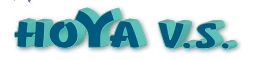 Uspesno sertifikovana HOYA V.S. - Standardi u poljoprivredi Srbije
